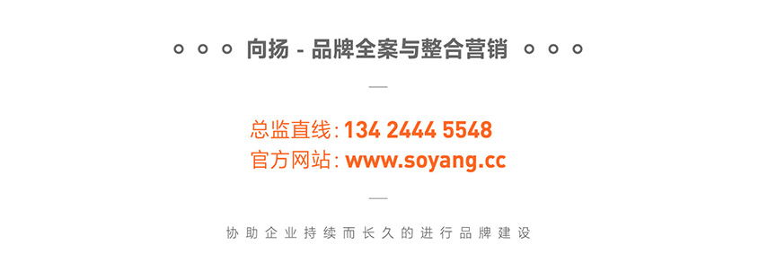 向揚(yáng)品牌策劃.jpg 向揚(yáng)品牌策劃.jpg