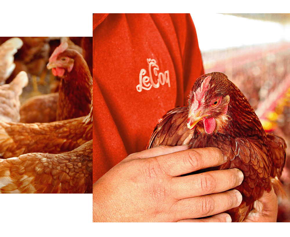 logo應用實拍圖.png logo應用實拍圖.png